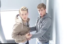 Danish Gay(S) Jett Dark-hued (CJ)(JW) 7