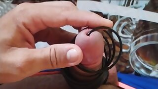 A spring on the stick for immediate growth.